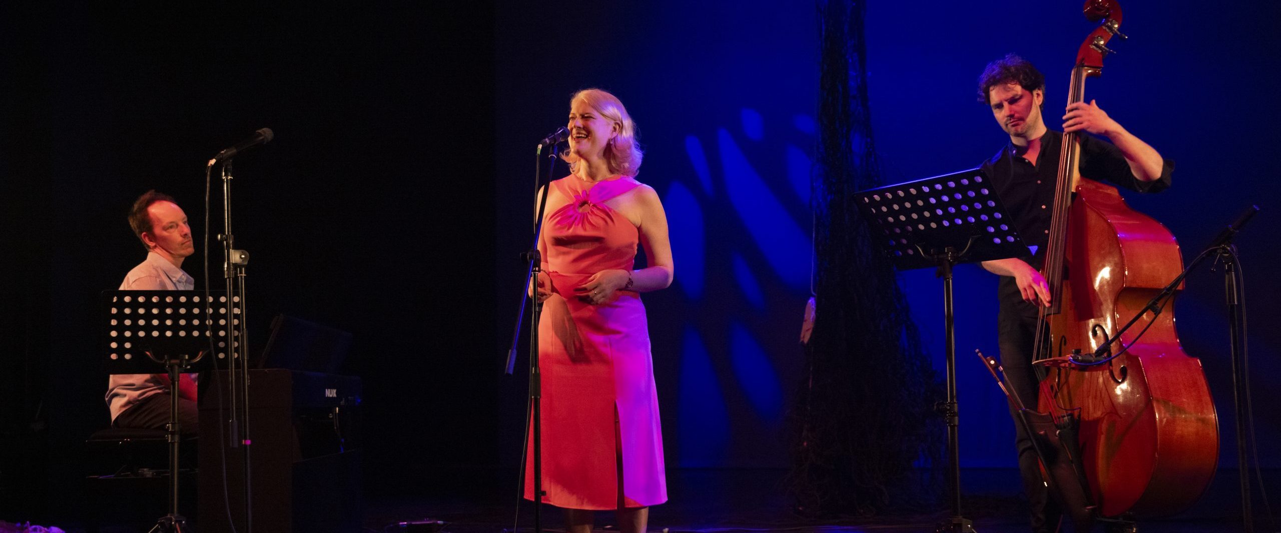 Do you see what I’m singing?